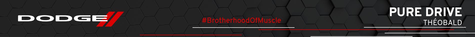 Dodge - Groupe Théobald Nancy Metz
